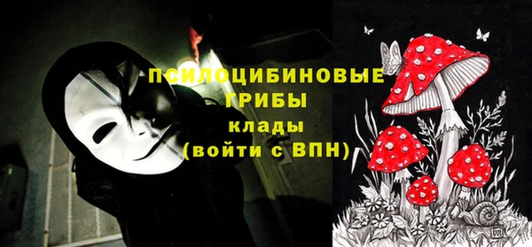 таблы Богородск